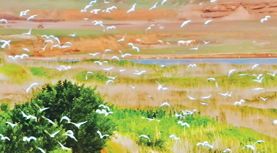  The Yellow River Immortal Bay is full of egrets