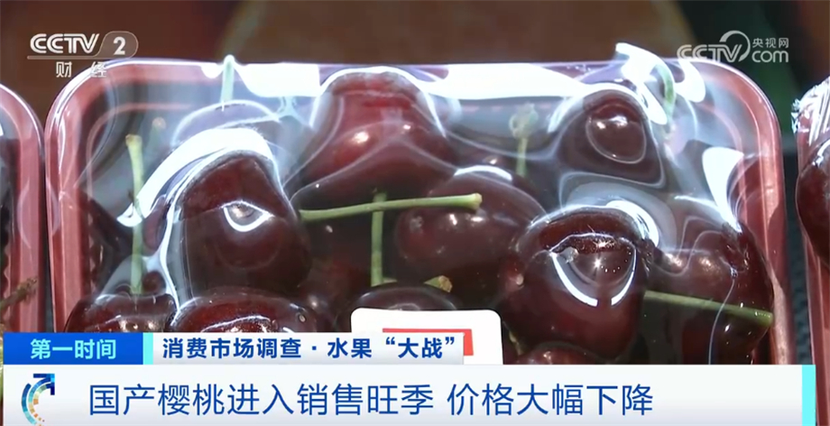 九游会J9 J9九游会种植技术提高+味美价优 国产樱桃市场占有率不断提高(图3)