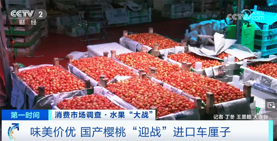 九游会J9 J9九游会种植技术提高+味美价优 国产樱桃市场占有率不断提高(图6)